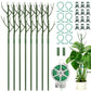 🥳HOT SALE🥳💞50K+ SOLD! Plant Support – From £12.99! Realistic branch, sturdy & extendable. Healthy plants – grab yours! ✅