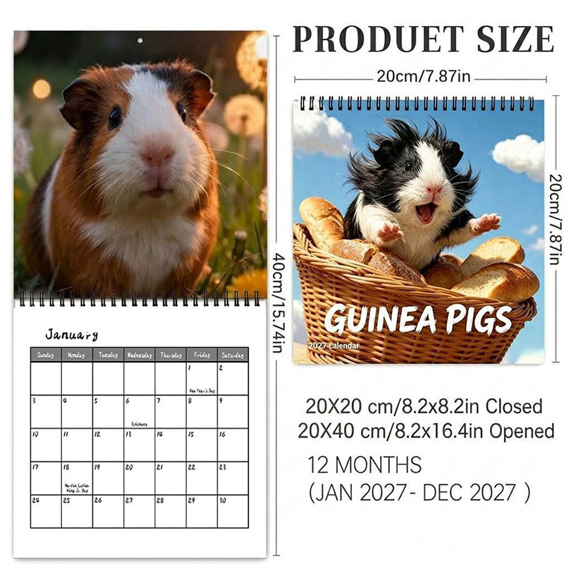 🥳HOT SALE🥳💞50K+ SOLD! Guinea Pig Calendar – From £7.99! 12 cute months, easy planning & charming decor. Brighten your wall – grab yours! ✅