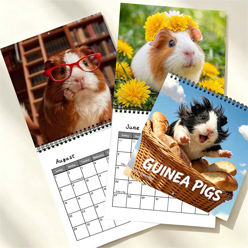 🥳HOT SALE🥳💞50K+ SOLD! Guinea Pig Calendar – From £7.99! 12 cute months, easy planning & charming decor. Brighten your wall – grab yours! ✅