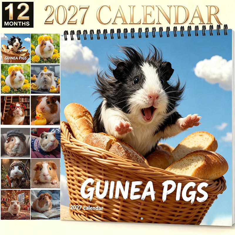 🥳HOT SALE🥳💞50K+ SOLD! Guinea Pig Calendar – From £7.99! 12 cute months, easy planning & charming decor. Brighten your wall – grab yours! ✅