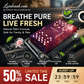 🔥2026 New Arrival🔥 Natural Plant-Based Air Freshener for Room & Car